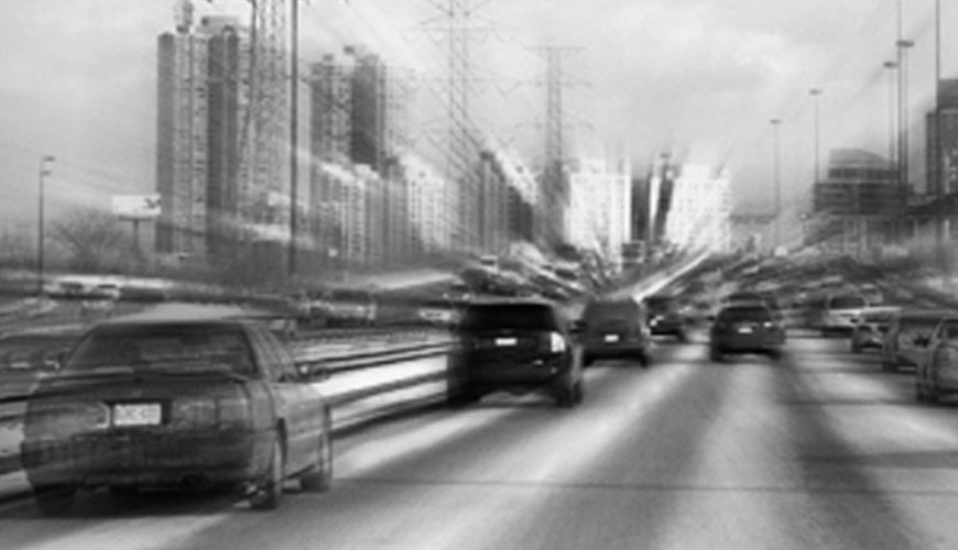Le conducteur professionnel